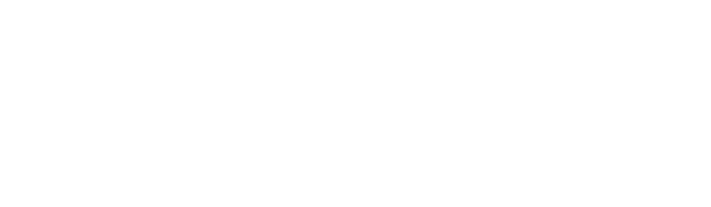 Wealth-and-Income-Solutions-Logo